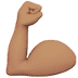 muscle:t4