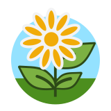 flower-field.cleaned